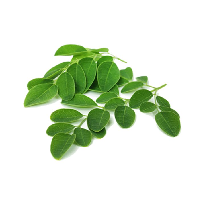 Normadex contains moringa leaves - a powerful natural anti-parasite remedy